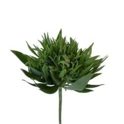 Alstromeria Green Planet