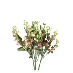 Alstromeria - Charmelia, Small Pink Spray