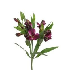 Alstromeria - Charmelia, Small Purple Spray