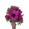 Anemone Fuchsia, 40cm