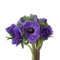 Anemone Blueish Purple, 40cm