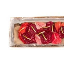 30 Stem Case Medium Anthuriums - Assorted Farm Choice Colors