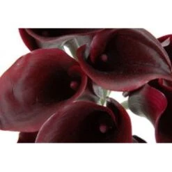 Calla Lily Black, 35 Cm