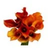 Calla Dark Orange, 55 To 70 Cm