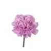 Carnation Light Lavender Moonaqua