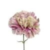 Carnation Bicolor Purple Cream Antique