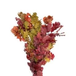 Autumn Colors Fresh Oak Leaves - Tinted