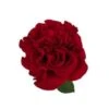Garden Rose, Wanted - Dark Red
