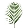 Areca Palm - Cat Palm Large, 80 Cm