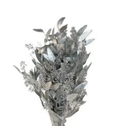 Seeded Eucalyptus Painted Silver