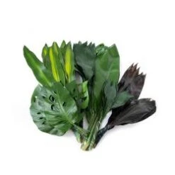 Foliage- Leaves BAG ( 70 Stems Of Assorted Leaves In A Bag )