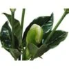 Gardenia Foliage 70cm SUPER Tall