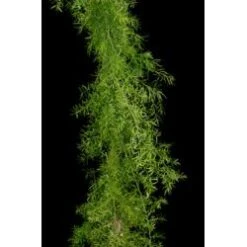 Fresh Greenery Garland - 1 Item - Springeri Garland