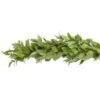 Fresh Greenery Garland - 1 Item - Israeli Ruscus