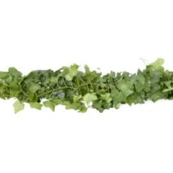 Fresh Greenery Garland - 1 Item - Green Ivy