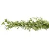 Fresh Greenery Garland 1 Item - Variegated Ivy