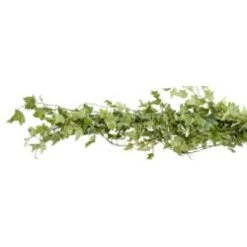 Fresh Greenery Garland 1 Item - Variegated Ivy