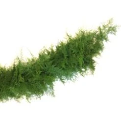 Fresh Greenery Garland - 1 Item - Plumosa Fern Garland