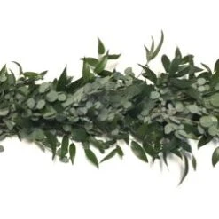 Fresh Garland- 2 Items - Italian Ruscus & Gunni Eucalyptus