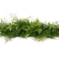 Fresh Garland - 2 Items - Italian Ruscus & Plumosa