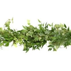Fresh Garland - 2 Items - Italian Ruscus - Israeli Ruscus