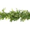 Fresh Garland - 2 Items - Variegated Ivy & Italian Ruscus