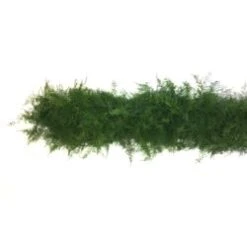 Fresh Greenery Garland -2 Items - Plumosa & Springeri