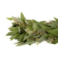 Fresh Green Garland - 2 Items - Seeded Euc & Bay Leaves