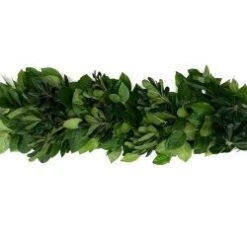 Fresh Greenery Garland - 2 Items - Salal & Green Pitt