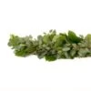 Garland 3 Items - Salal-Seeded-Silver Dollar