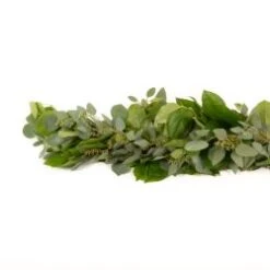Garland 3 Items - Salal-Seeded-Silver Dollar