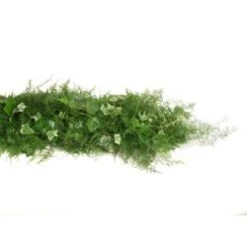 Fresh Garland - 3 Items - Springeri, Plumosa & Variegated Ivy