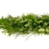 Fresh Garland - 3 Items - Salal, Italian Ruscus & Springeri
