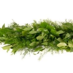 Fresh Garland - 3 Items - Salal, Italian Ruscus & Springeri