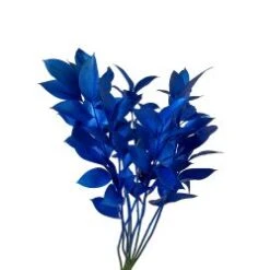 Israeli Ruscus Metallic Cobalt Blue Painted