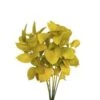 Israeli Ruscus Yellow Painted