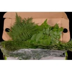 Chilean Greens - 20 Bunches Assorted Native Chilean Greens