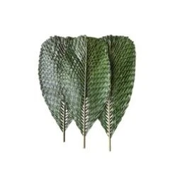 Cocos Nucifera - Weaved Coconut Palm - By Pre-Order Only