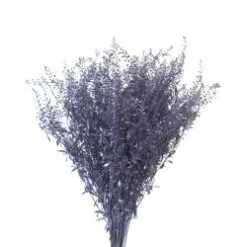 Fresh Lepidium Painted Metallic Lavender Color, 60-70cm