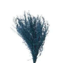 Fresh Lepidium Painted Dark Ocean Color, 60-70cm