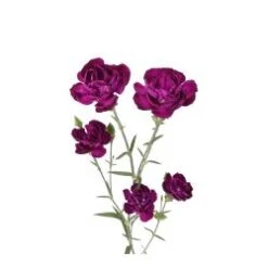 Mini Moonique Purple