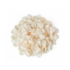 Rose Petals Creamy White - 200 Gram Bag