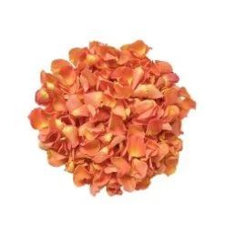 Rose Petals Orange - 200 Gram Bag