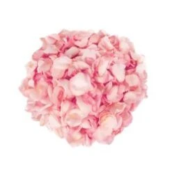 Rose Petals Light Pink - 200 Gram Bag