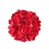Rose Petals Red - 200 Gram Bag