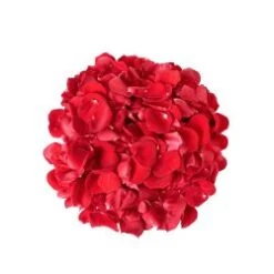 Rose Petals Red - 200 Gram Bag