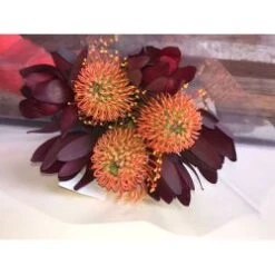 Protea Bouquet (3 Pincushion Protea + 5 Safari Sunset )