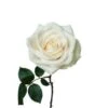 Rose, Vendela - Creamy White, 40 Cm