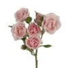 Majolika Light Pink Spray Rose