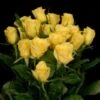 Sweet Heart Rose, Yellow